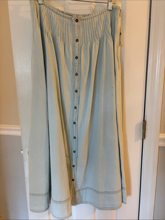 Pilcro Dresses & Skirts - Pilcro NWT Pale Blue Button-Front Maxi Skirt